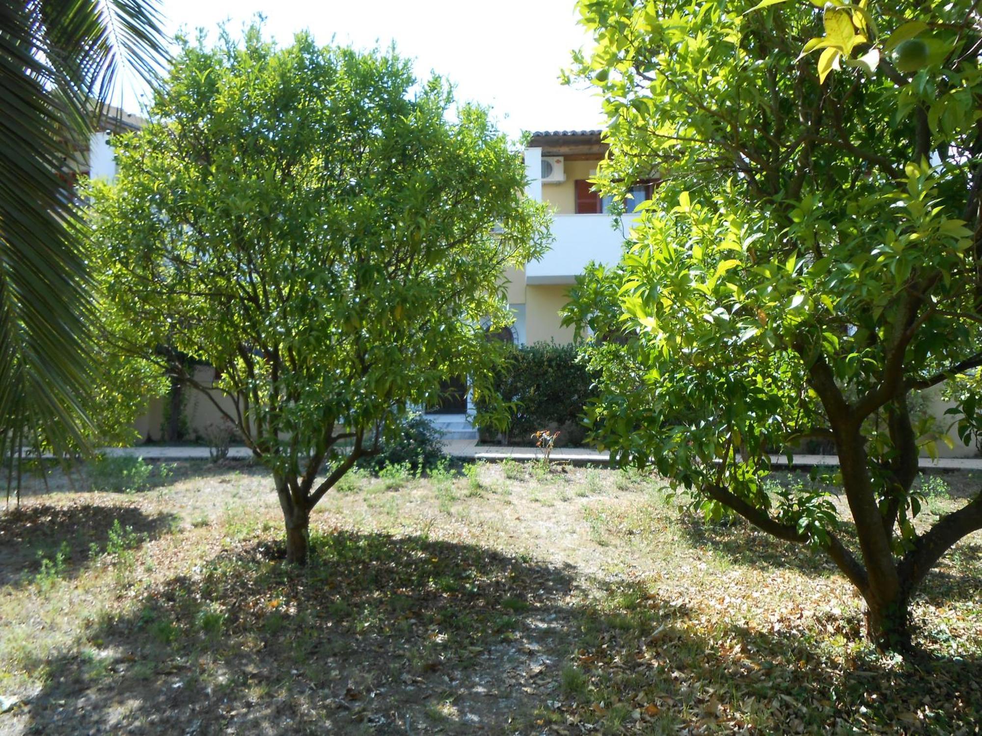 Anamama Studios Acharavi  Exterior foto